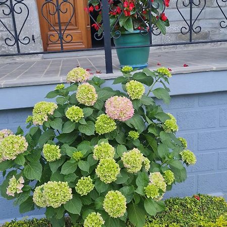 Garden Guest House Përmet 외부 사진