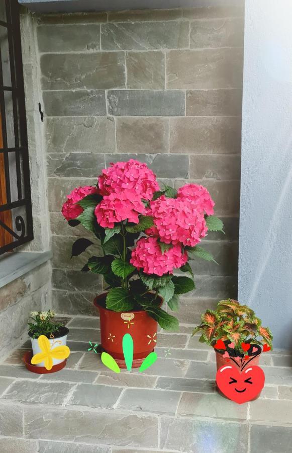 Garden Guest House Përmet 외부 사진