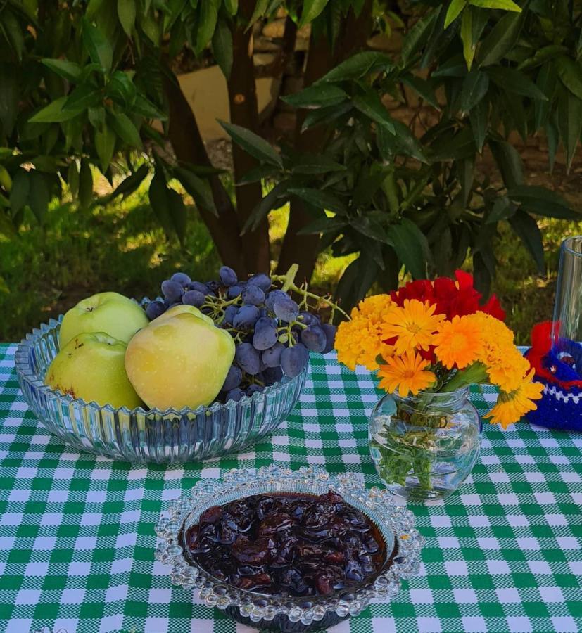 Garden Guest House Përmet 외부 사진
