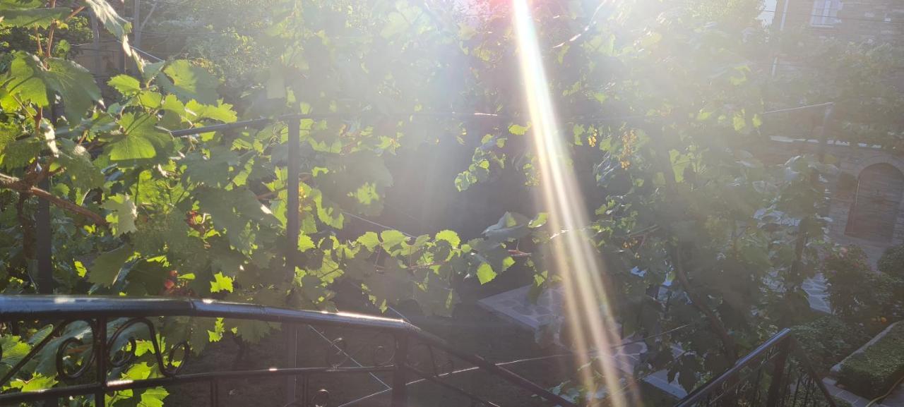 Garden Guest House Përmet 외부 사진