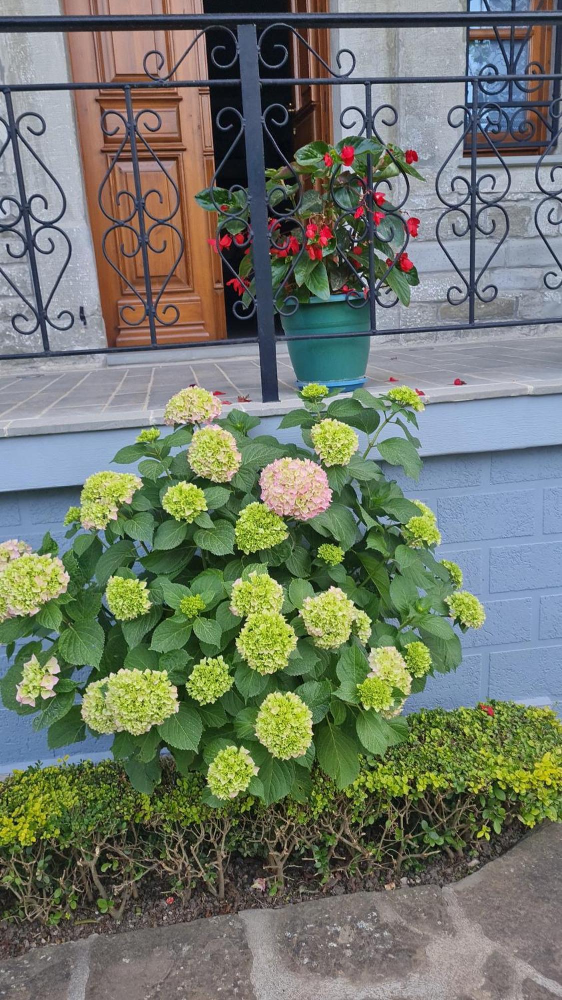 Garden Guest House Përmet 외부 사진