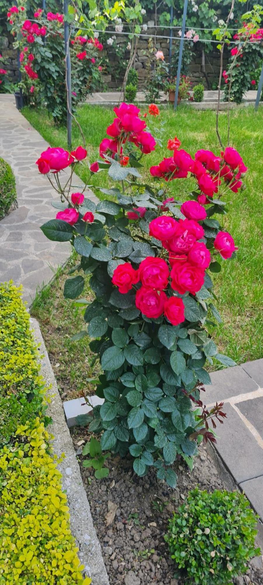 Garden Guest House Përmet 외부 사진